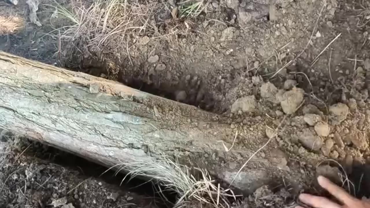 A man builds an underground hideout in the forest himself