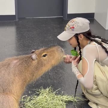 Blackpink Jennie kpop 2025