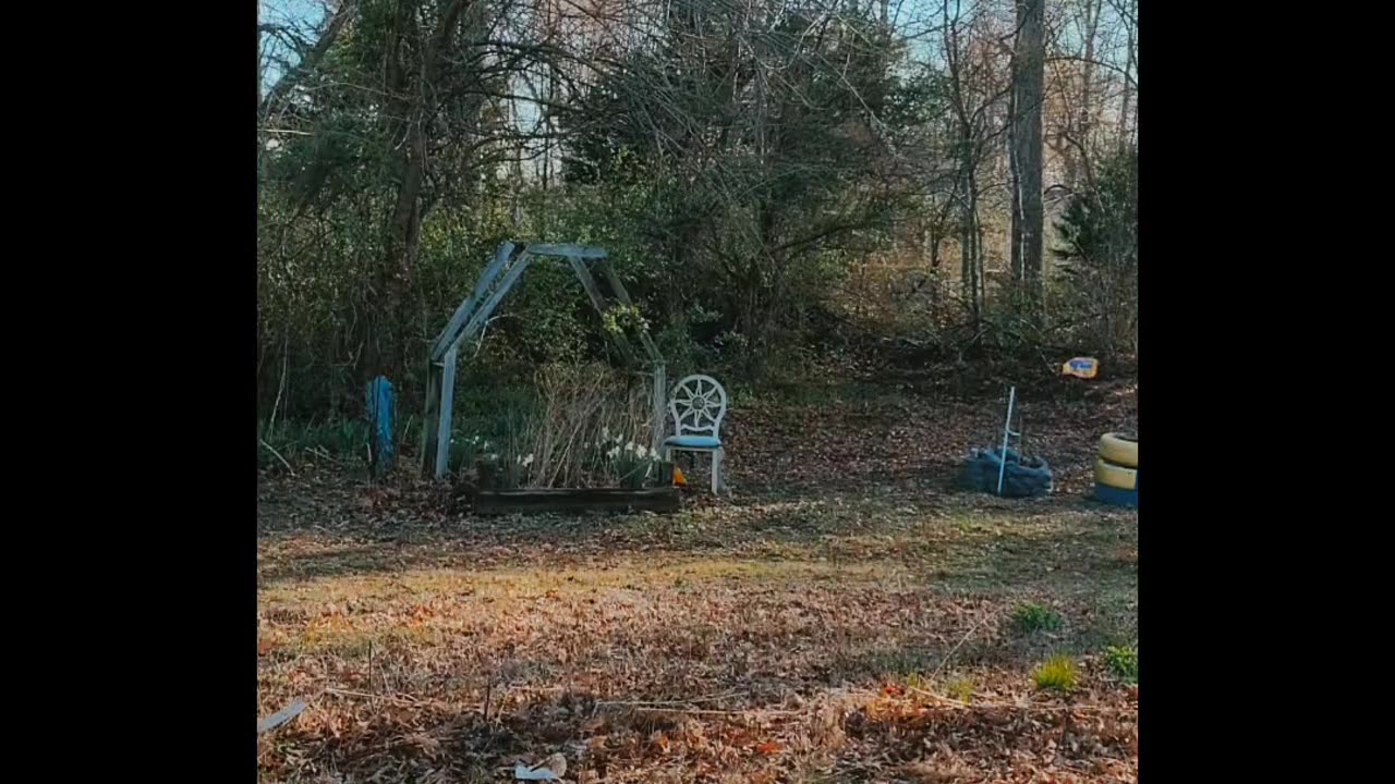 A Springtime Moment In Nature