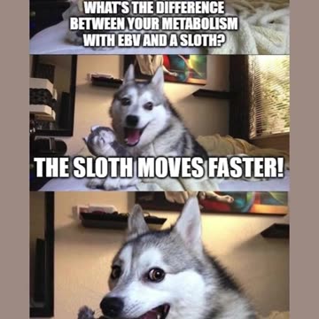 EBV connection to weight gain + low energy