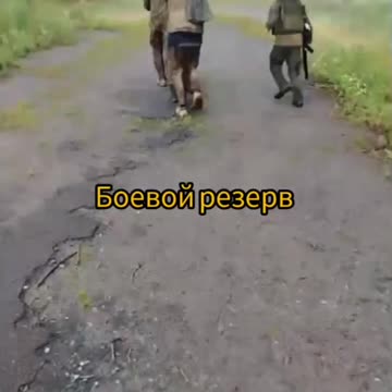 Ukraine war combat footage 8/29/25
