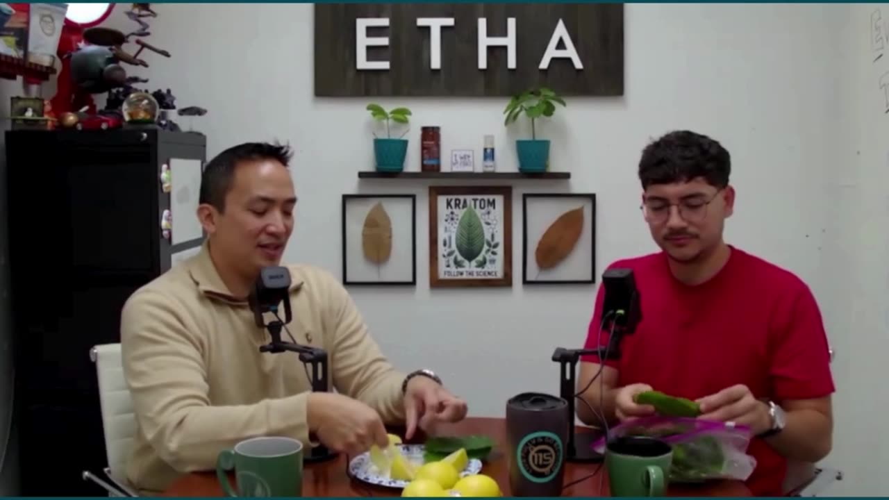 Lemon Experiment Preview