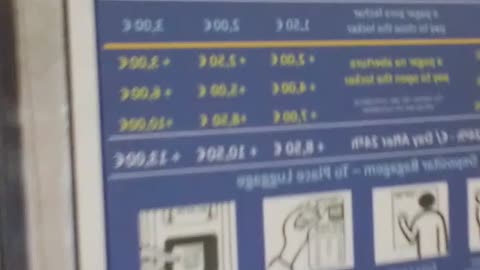 311 kitty 😸 Portugal Diaries Day 11