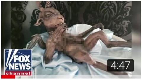 THE TRUTH IS UNVEILED