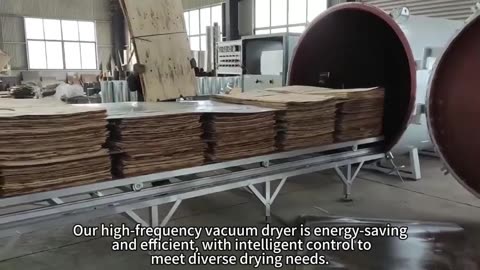 high-frequency vacuum dryer