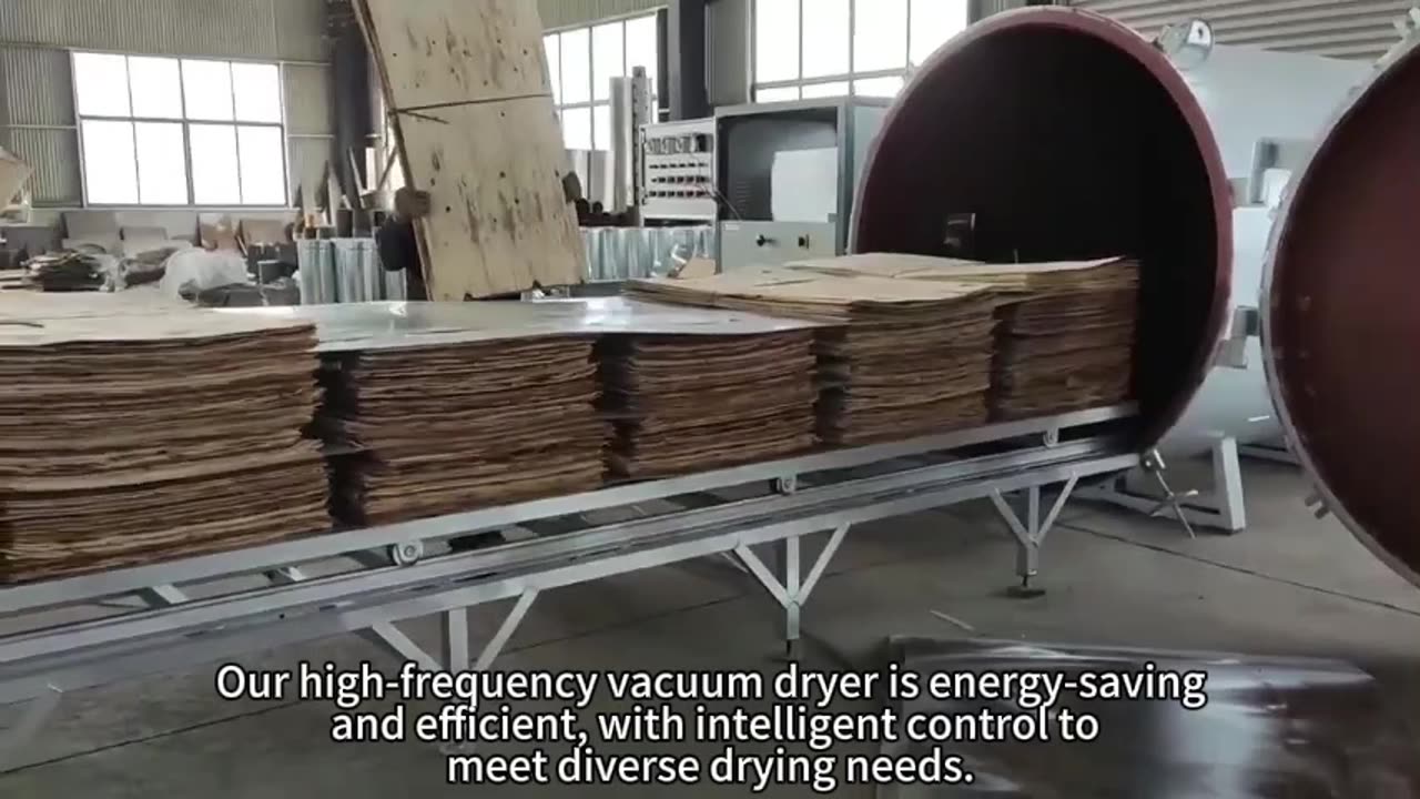 high-frequency vacuum dryer