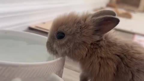 I love how his legs are just hanging