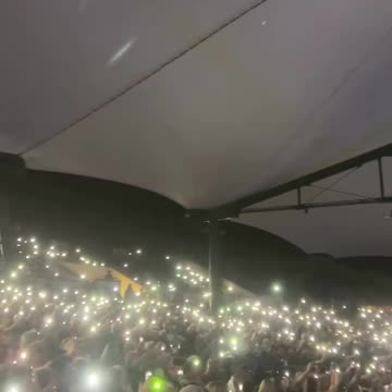 Beach Boys & Surfin' Light Waves