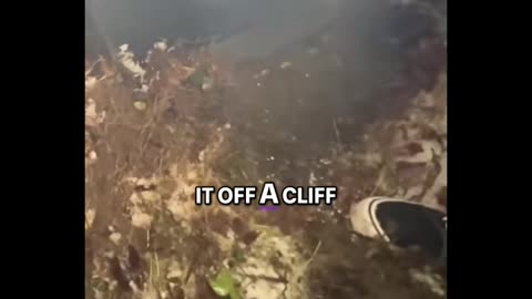 FULL TOUR OF MY SALVAGE COLLECTION | From Junk to Gold 💰