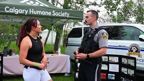 Hundreds of Dogs March Against Animal Cruelty | Dog Jog Calgary