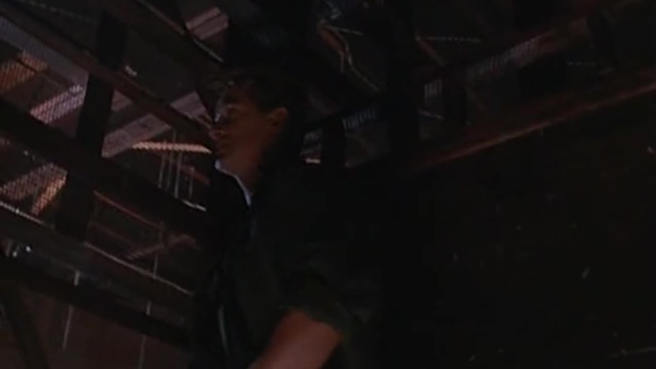"Rage and Honor" Starring Cynthia Rothrock and Richard Norton