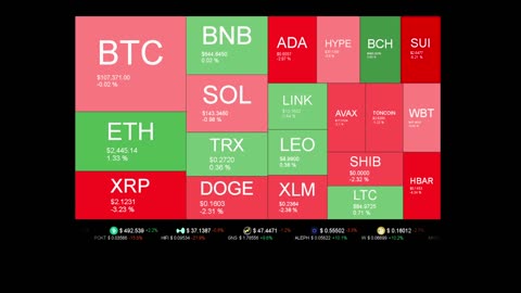 Live Coin Price Watch!