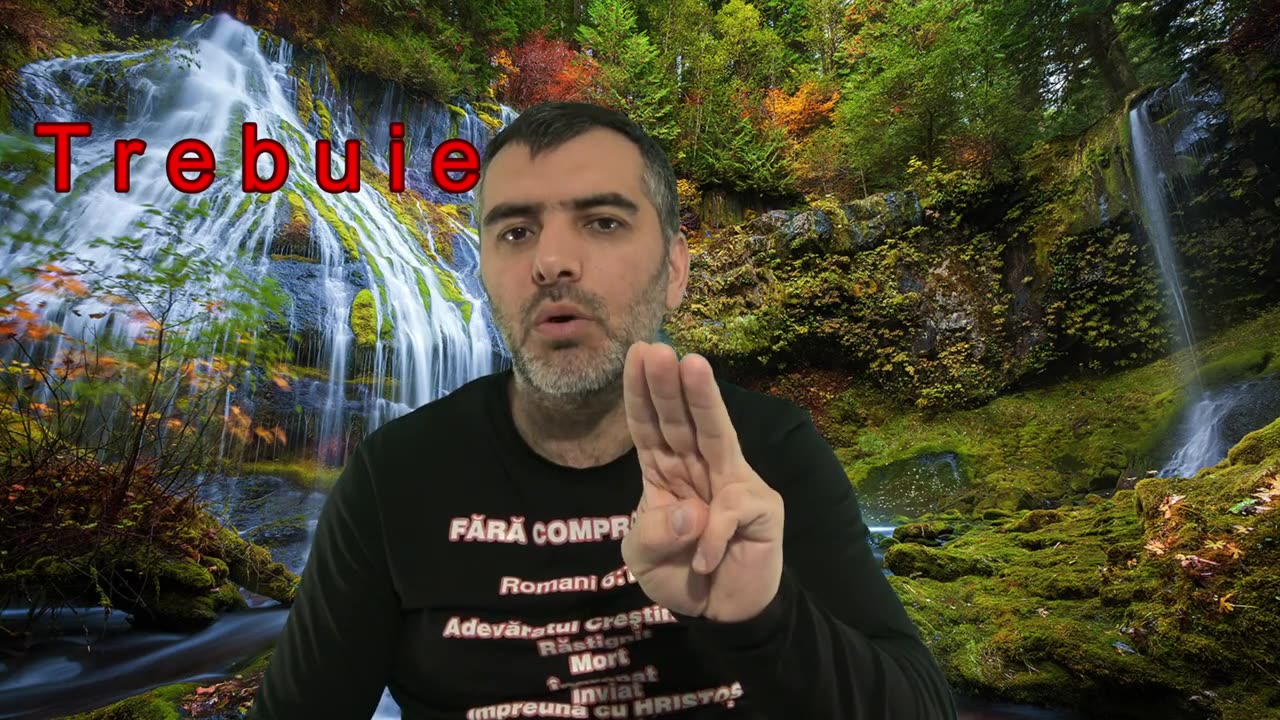 T r e b u i e 1_2