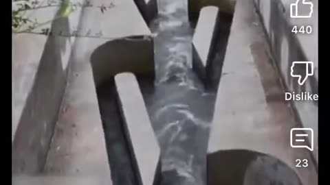 Real shot of Tesla valve