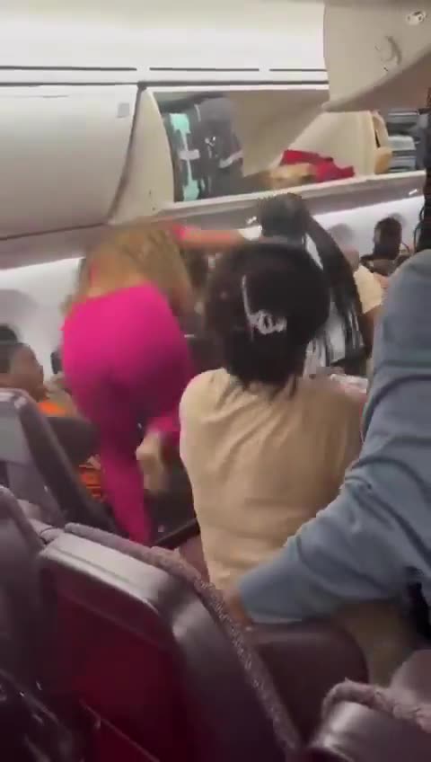 Massive negro brawl on a plane