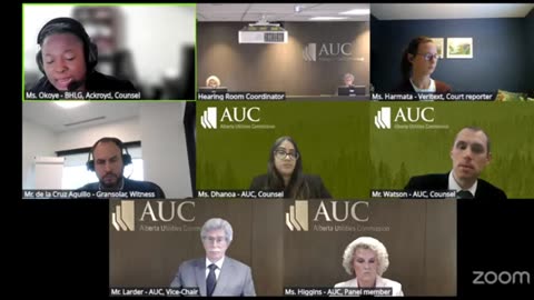 AUC Proceeding #30032 Blue Heron Solar + Storage Day 3 part 2