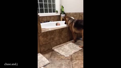 When Your Baby and Dog Have a Secret Code ❤️