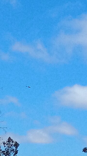 draccopter stalking humans