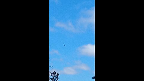 draccopter stalking humans