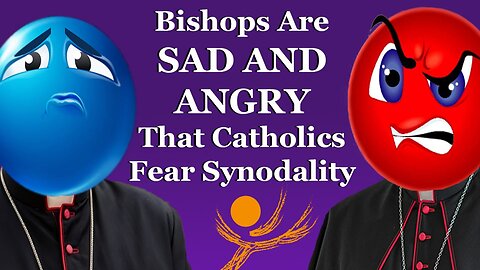 Bishops Are SAD AND ANGRY That Catholics Fear Synodality