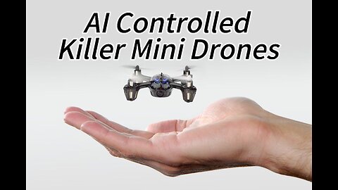 AI Controlled Killer Mini Drones