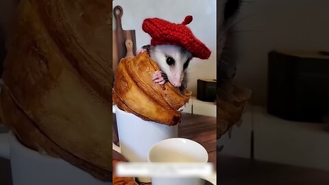Lisa tried to steal a baby possum from her mom but the woman saved the baby