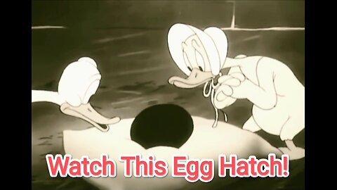 Amazing Duck Hatching 🐣 | Full Egg Hatching Process | Old is Gold