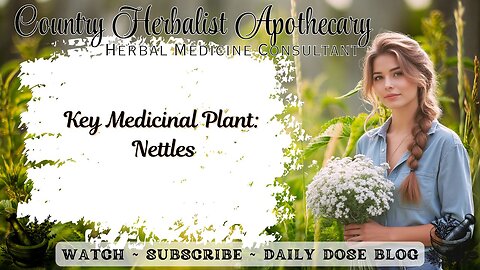 Key Medicinal Plant: Nettles