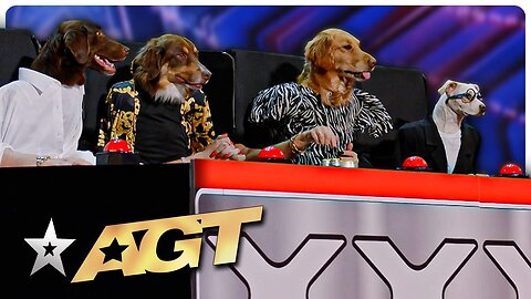 Dog's Got Talent! The Judges Become DOGS on AGT!