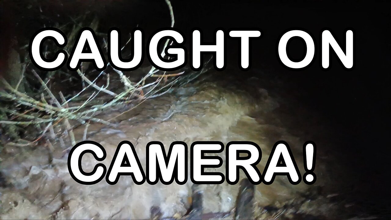 Flash Flood Warning Caught on Camera