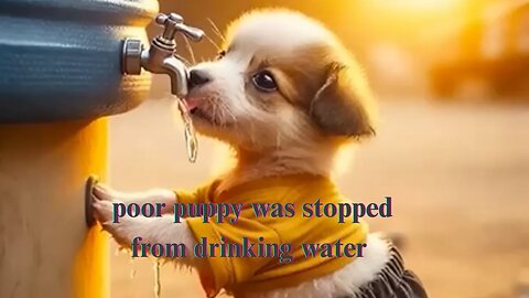 The poor puppy was stopped from drinking water