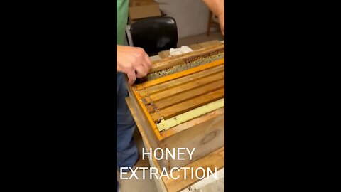 Honey Extraction