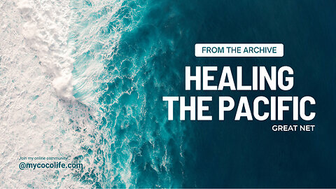 🩵 Healing the Pacific | Great Net