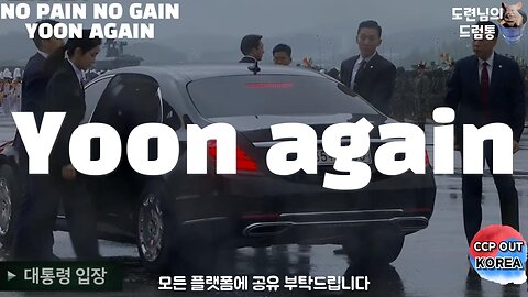 NO PAIN NOGAIN YOON AGAIN FIGHTING FOR FREEDOM IN KOREA