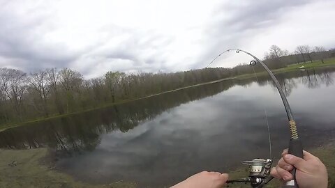 PB yellow perch on a catfish line!