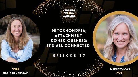EP 097: Mitochondria, Attachment, Consciousness: It’s All Connected