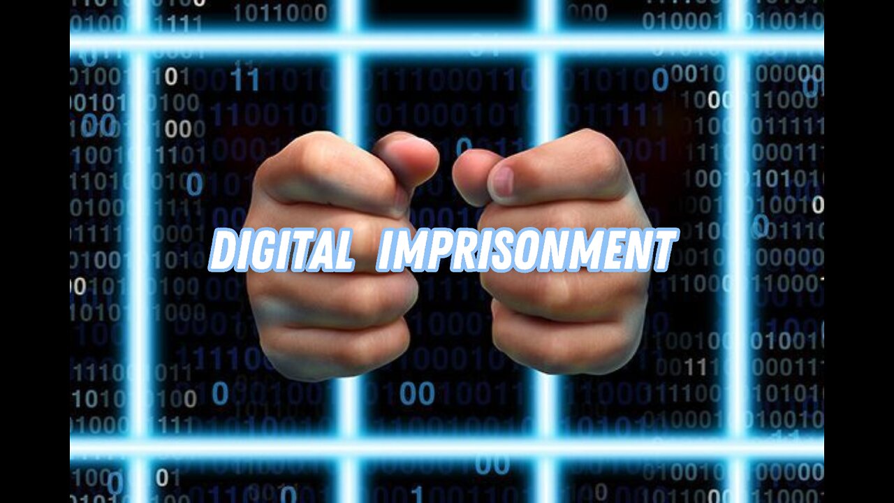 Humanity on it's Way to Digital Imprisonment
