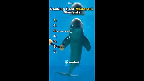 More funny animals