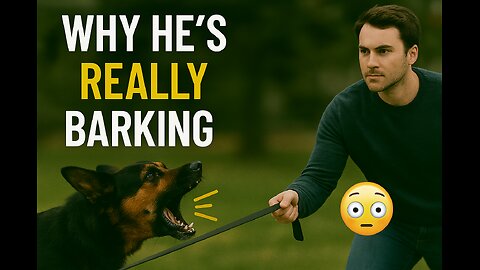 🎬 Episode 5: "Barking on Leash: Discover the Real Reason"
