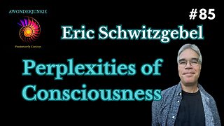 #85 Perplexities of consciousness - Eric Schwitzgebel