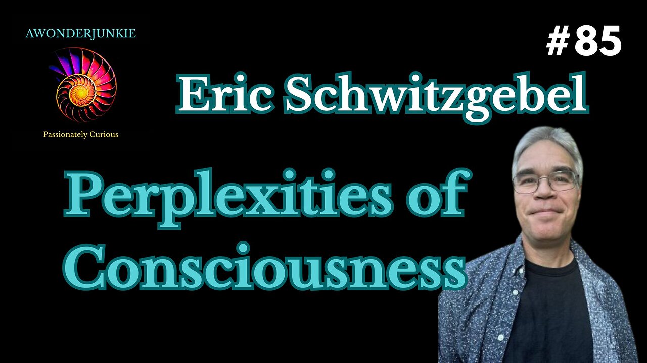 #85 Perplexities of consciousness - Eric Schwitzgebel