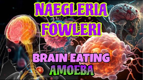 DEADLY BRAIN EATING AMOEBA