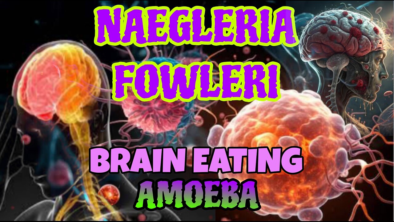 DEADLY BRAIN EATING AMOEBA
