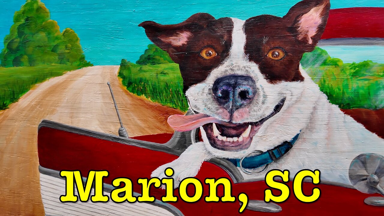 I'm visiting every town in SC - Marion, South Carolina