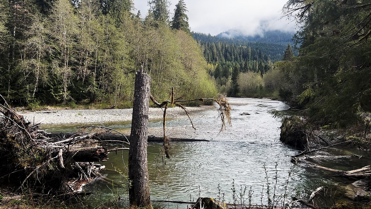 (4K UHD) SILENT PERSPECTIVES @ Silver Fir Campground! | Nooksack River | Mt. Baker-Snoqualmie NF