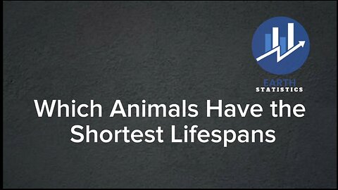 Which Animals Have the Shortest Lifespans