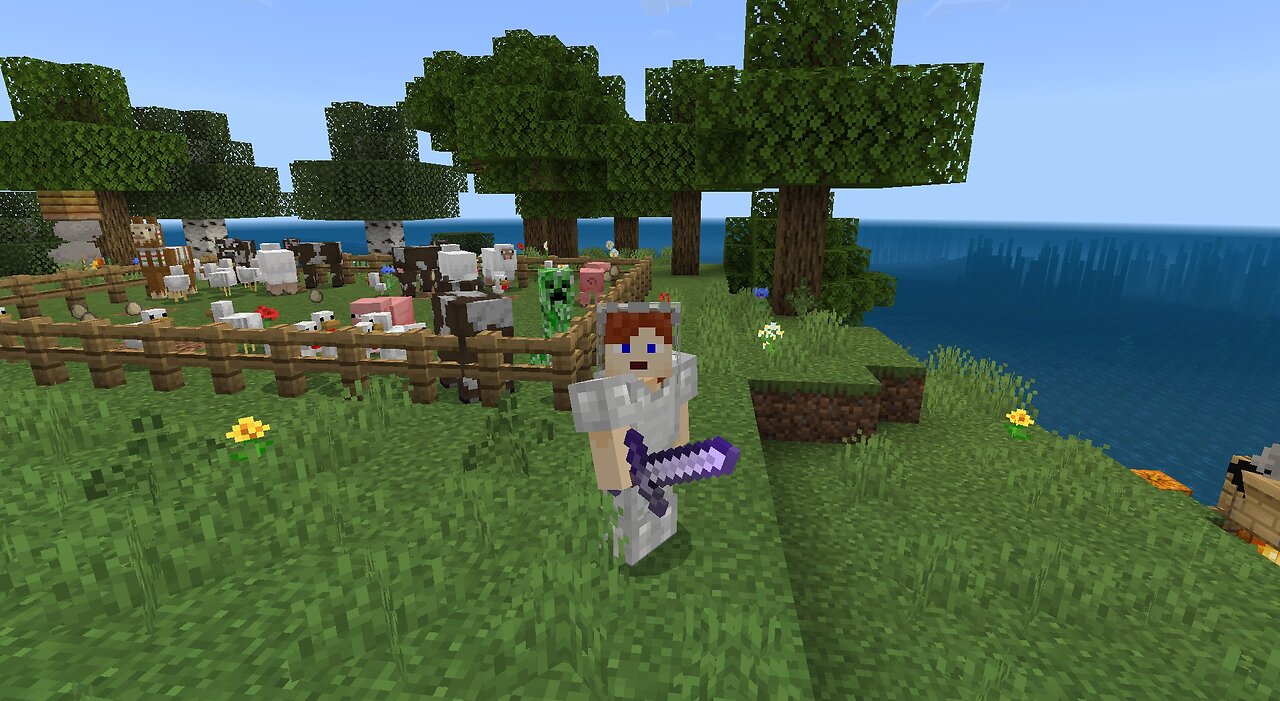 Minecraft Survival Island