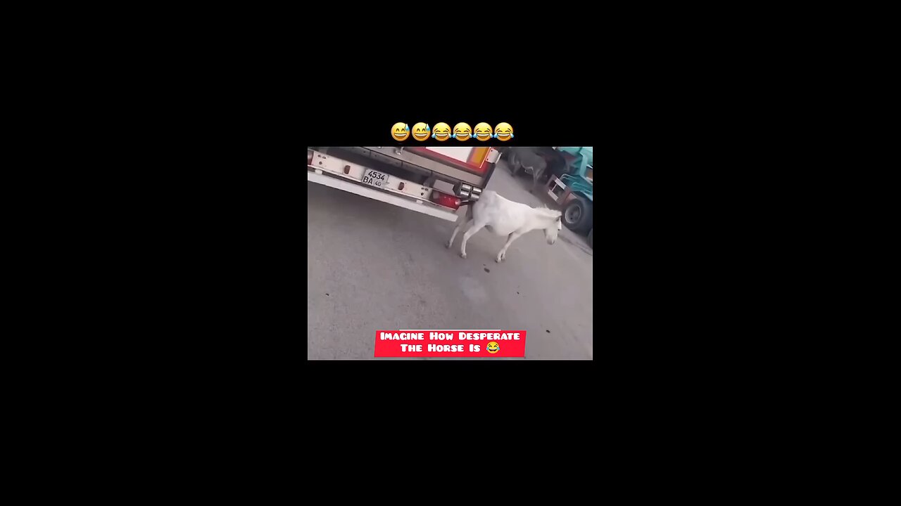 watch till the end or you will miss it