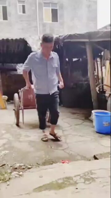 best friend enjoy life