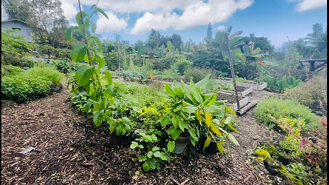 HONAUNAU SCHOOL ROAD - GARDEN, 1/2 BATH, PATH BACK TO DRIVEWAY